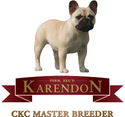 Karendon French Bulldogs